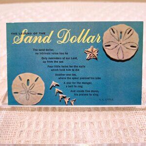 Vintage Legend of the Sand Dollar VL Little HS Crocker HSC-393 Postcard UNP